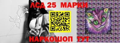 spice Краснодар