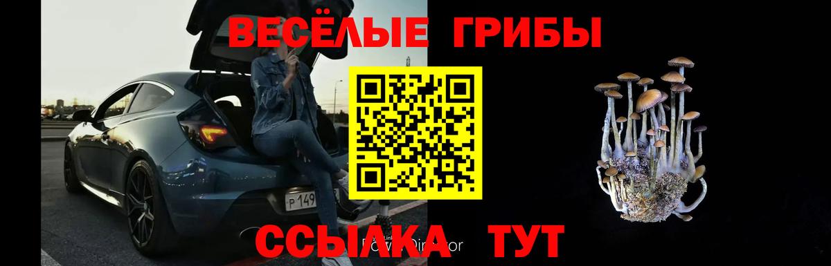 Галлюциногенные грибы мухоморы  Вход с VPN  Зеленодольск 